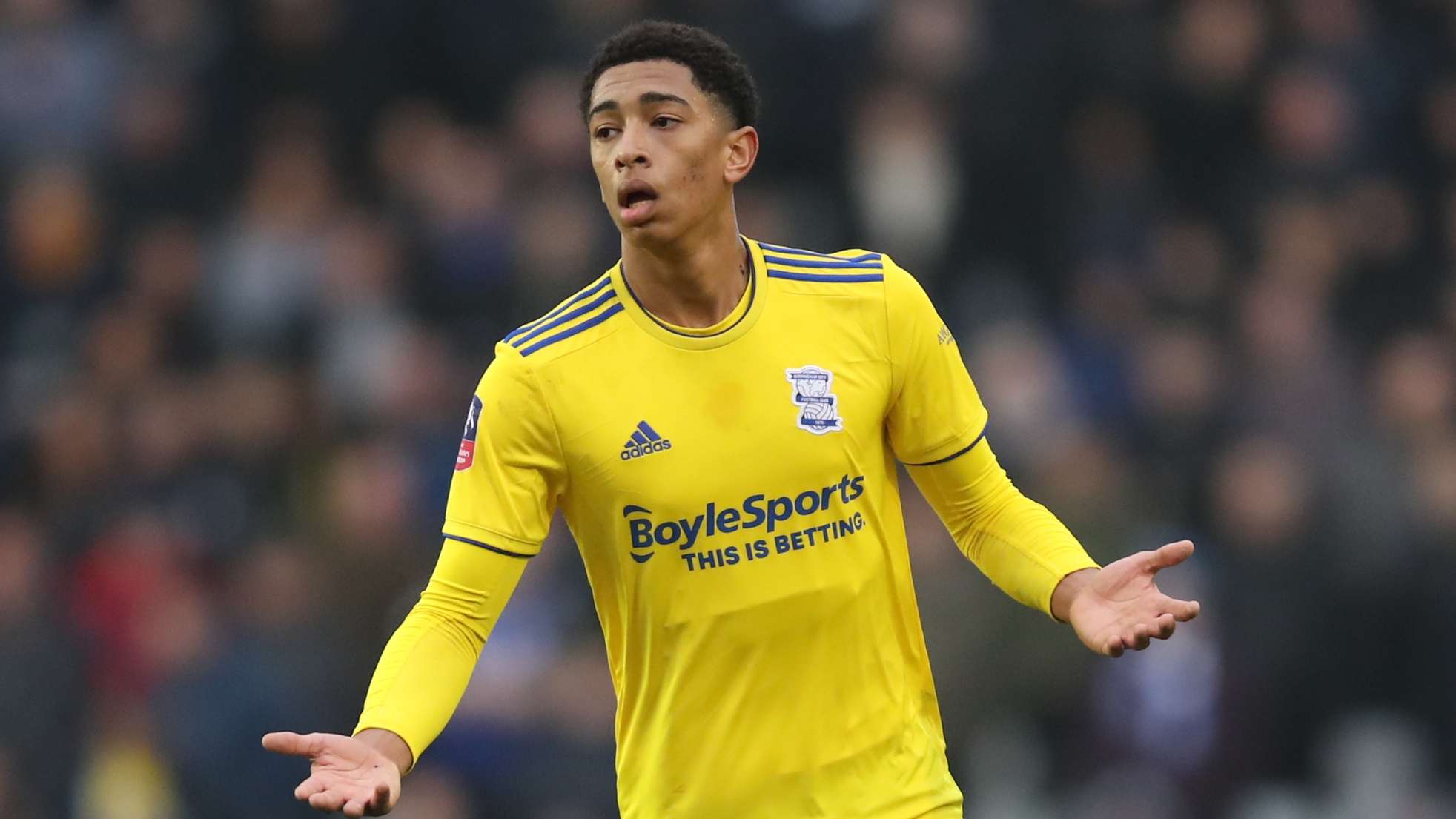 和康华正全 和康华正全